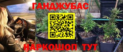 бошки Донецк