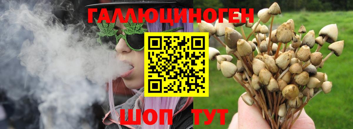 Псилоцибиновые грибы ЛСД  купить   Луховицы  Псилоцибиновые грибы Magic Shrooms  Вход с VPN 